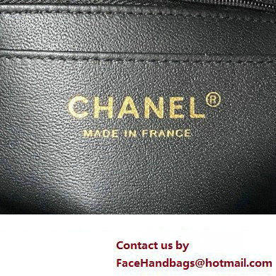 Chanel Quilted Shiny Calfskin  &  Gold-Tone Metal Small box Bag AS4470 Black 2023